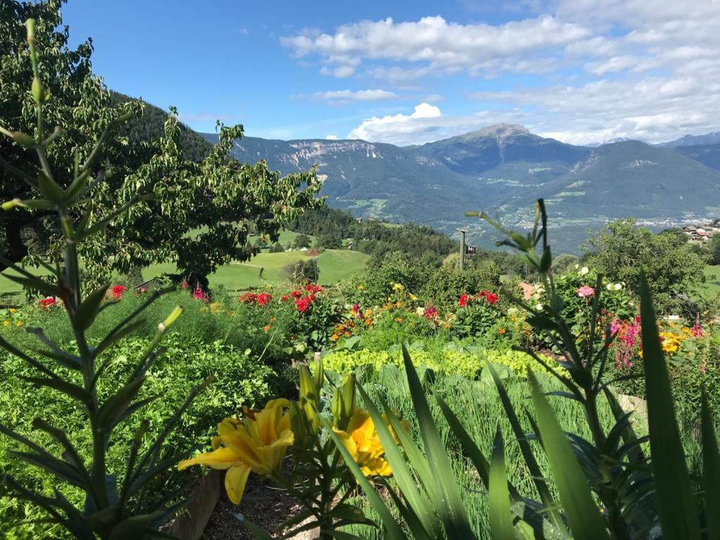 麦尔迪娜Alpenrose公寓 外观 照片
