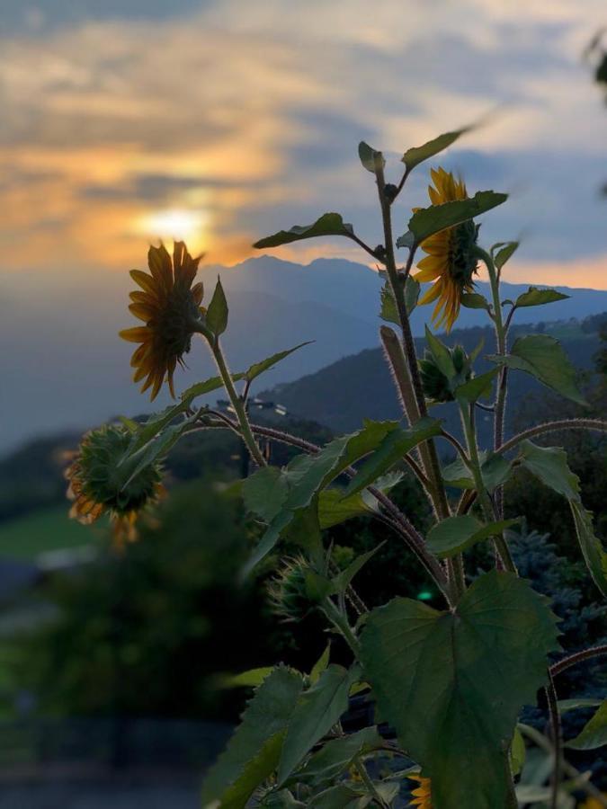 麦尔迪娜Alpenrose公寓 外观 照片