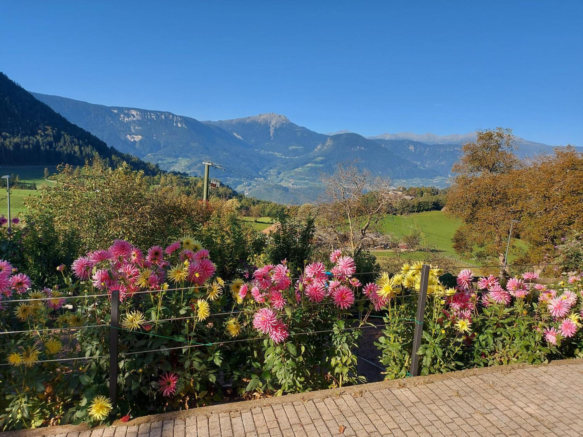 麦尔迪娜Alpenrose公寓 外观 照片